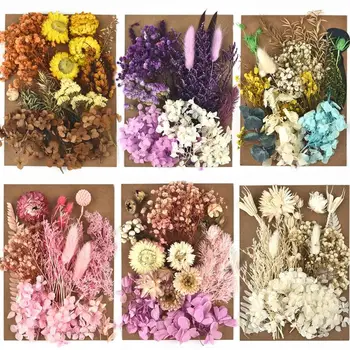 DIY de Flori Uscate de Rășină de Luare a Mucegai Floare Reală pentru Plombele din Rasini de Unghii de Arta Ambarcațiunile Acasă Rășină de Turnare Mucegai fabricarea de Unelte