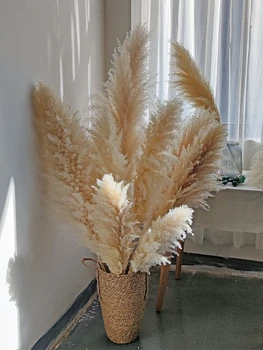 80cm Naturale Stuf de Flori Uscate Mare Iarbă de Pampas Buchet de Flori de Nunta Ceremonia de Decorare Casa Moderna de Decorare