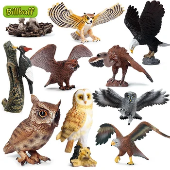 2021 Simulare de Animale Sălbatice, huhurezul Mare, Acvila Pui de Păsări Model Cifre de Colectare Cunoaștere Jucării Educative pentru Copii de Cadou
