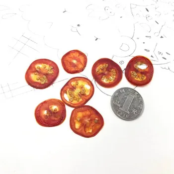 12pcs Uscate Presate Exopy Tomate Felii de Legume de Plante Ierbar Pentru Bijuterii cu Rama Foto Telefon Caz Ambarcațiunile de Marcaj DIY Face