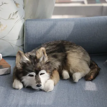 Simulate Drăguț câine Lup husky Real păr de animale de Jucărie câine Recuzită Fotografie Desktop Mașină de Decor Acasă Jucărie Cadou 2019 Câine petrecere tematica