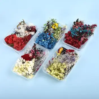 Aleatoare 1 Cutie de Flori Uscate de Rășină Mucegai Umplere DIY de Flori False pentru Nail Art Decor Acasă UV Epoxidice Umple de Bijuterii a Face Meserii