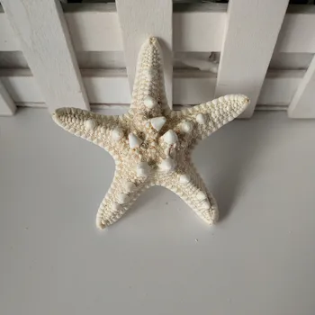Decor acasă 2PC alb steaua de mare la 5-7cm Alb Natural Degetul Mare Star Decor Nunta scoici pește de petrecere bej seastar meserii