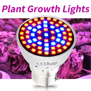 E27 LED Creștere Becuri E14 Cresc de Lumină întregul Spectru GU10 Instalație de Iluminat Fitolampy GU5.3 Fiole Pentru Plante Cultivare Răsad